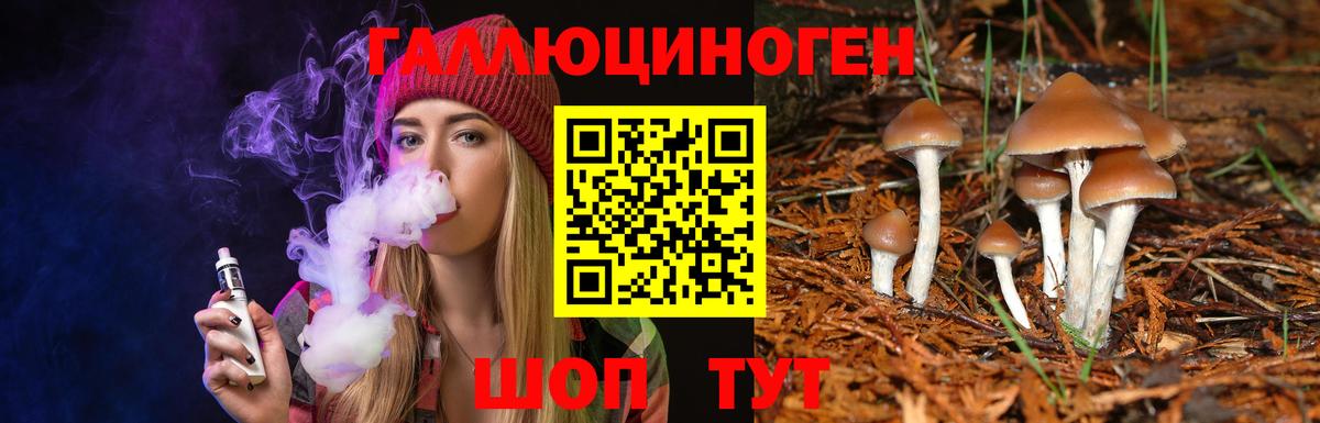 Галлюциногенные грибы Magic Shrooms  Вход с VPN  Галлюциногенные грибы прущие грибы  Нижний Тагил 